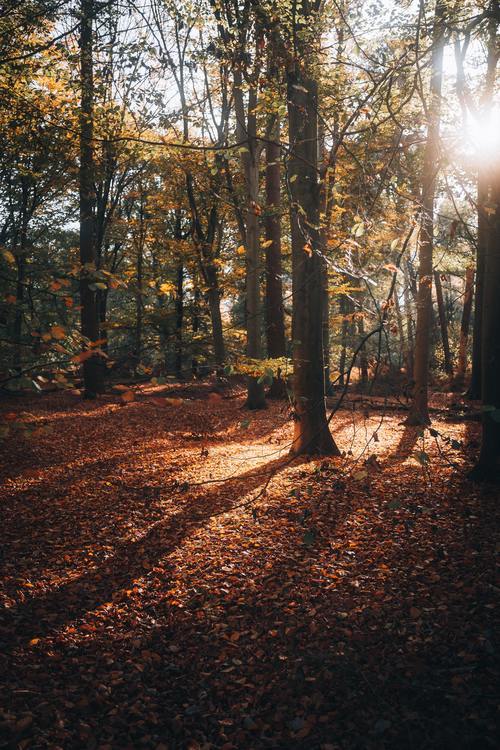 Behandling mot depression